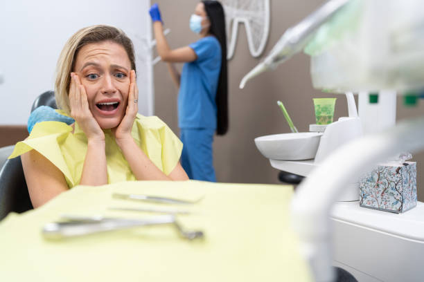 Best Broken or Chipped Tooth Repair in Williston Highlands, FL